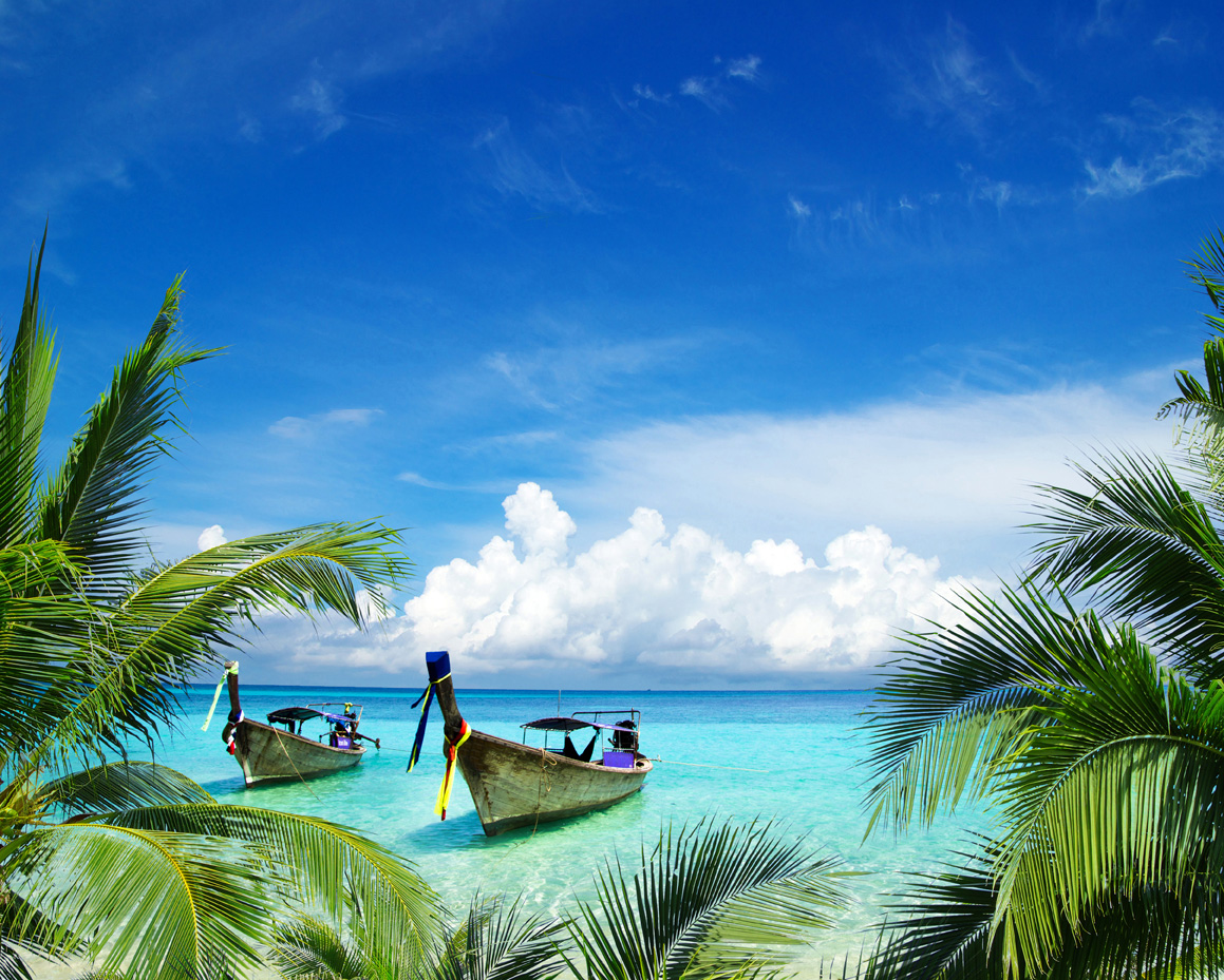 Tropisch strand palmbomen