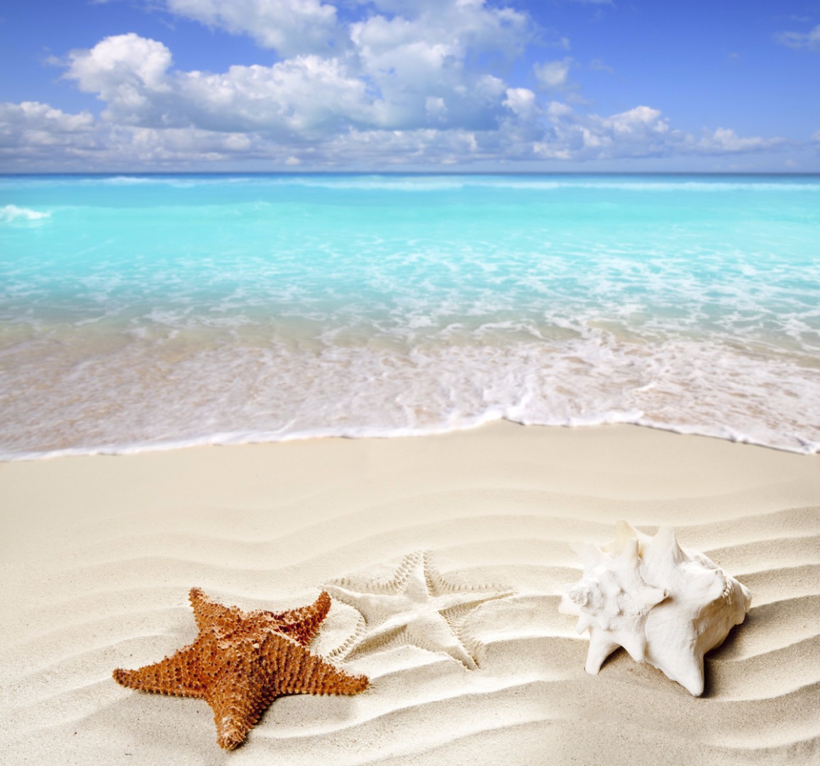 Tropisch strand