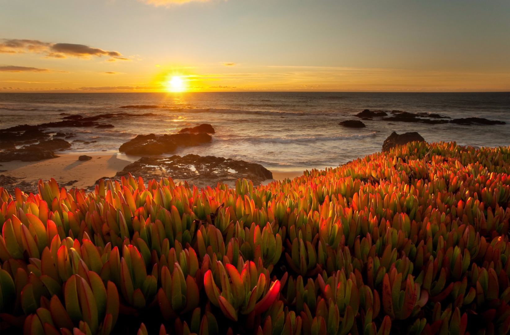 Kust California