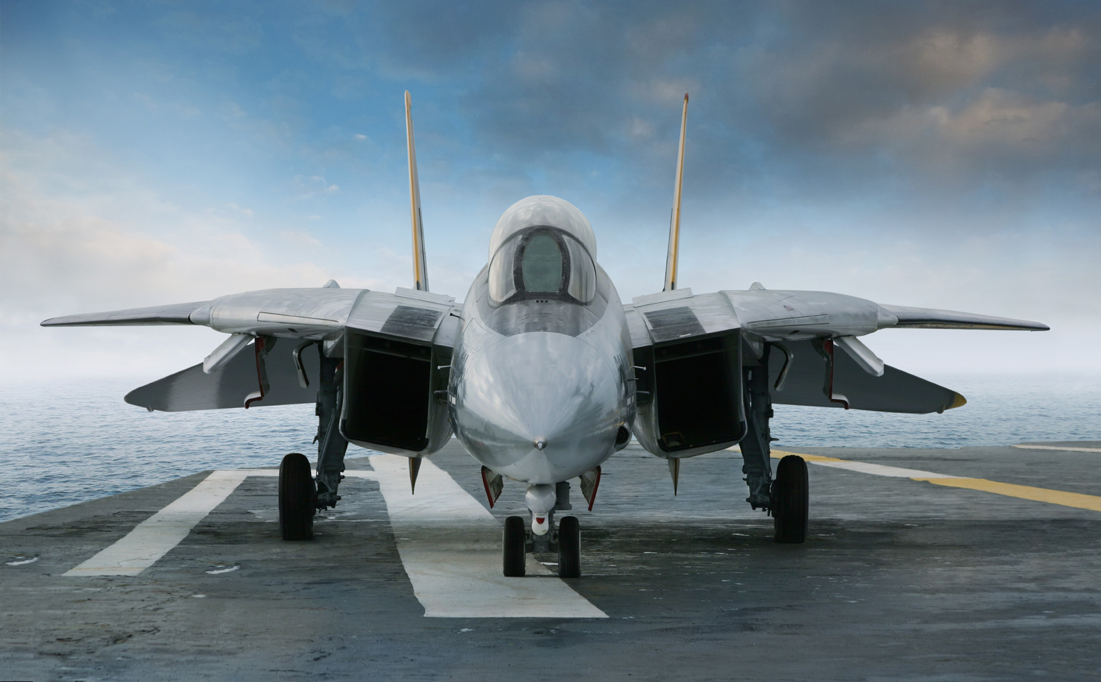 F-14 Jet Fighter