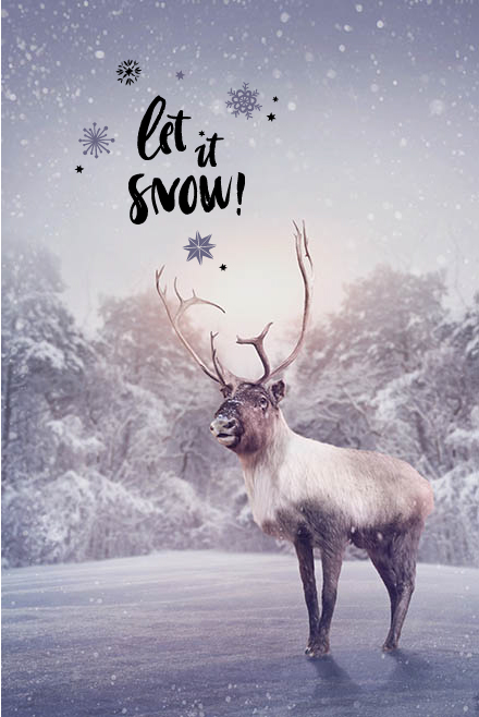 Let it snow rendier-7462
