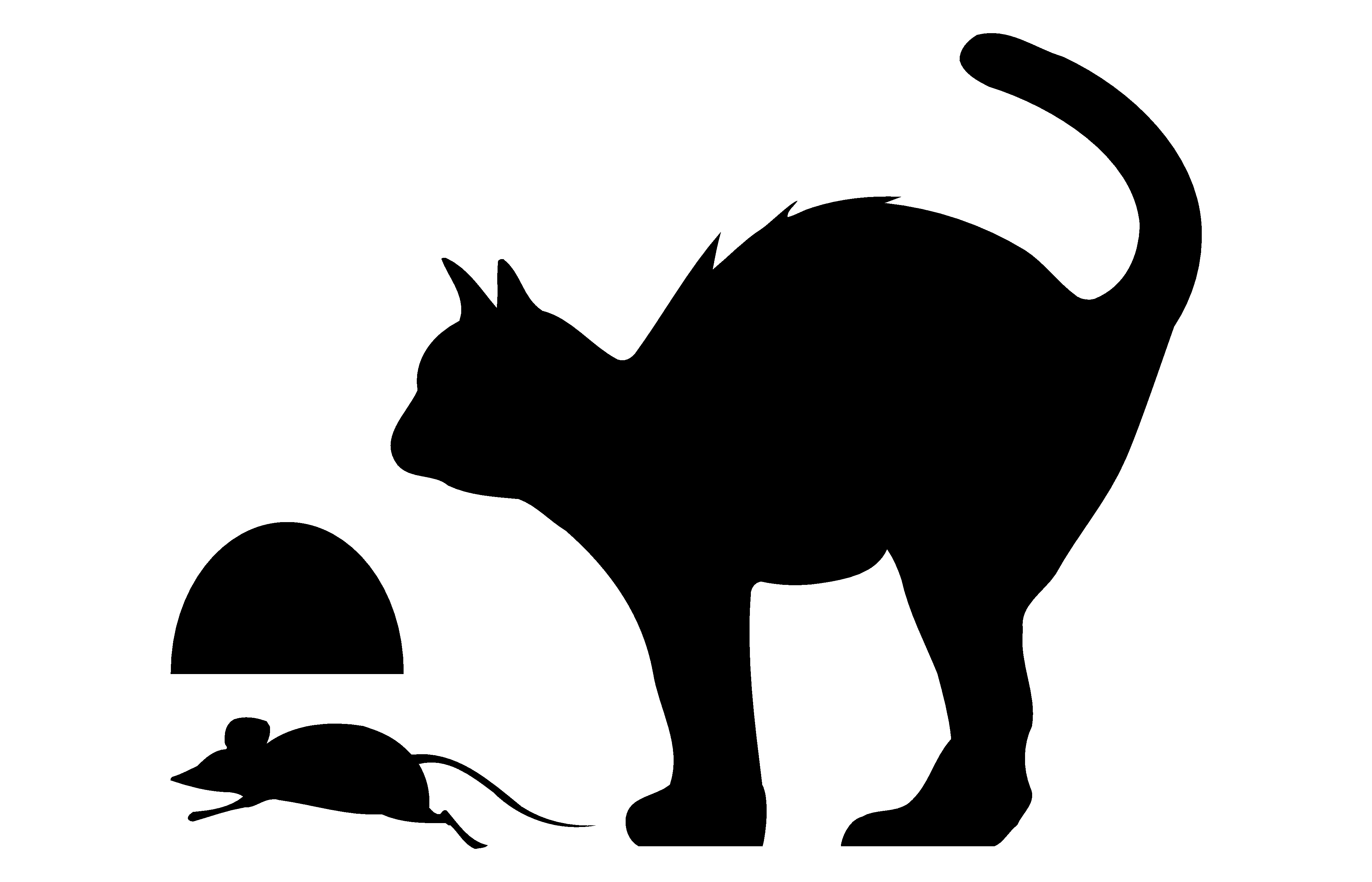 Kat & Muis-488