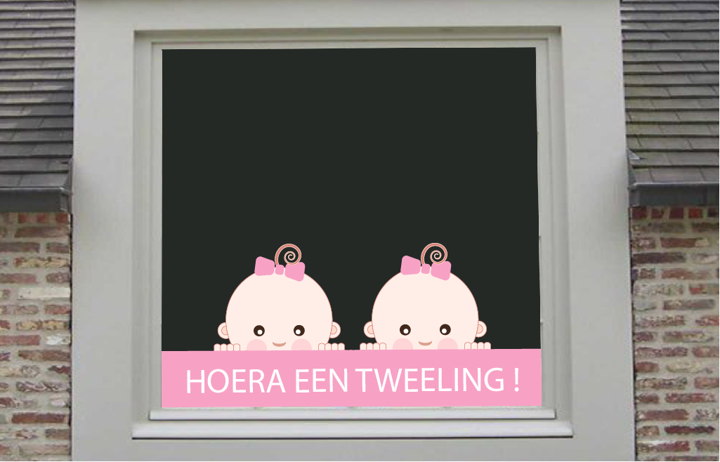 Tweeling meisjes