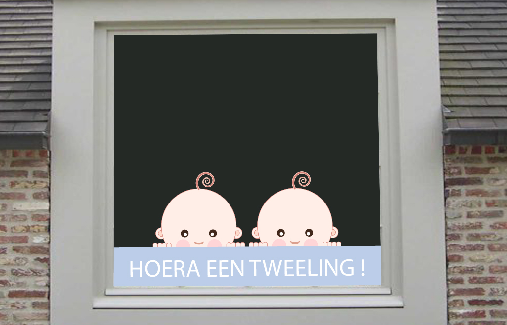 Tweeling jongens
