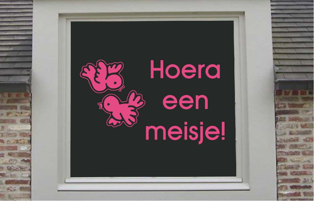Hoera een meisje